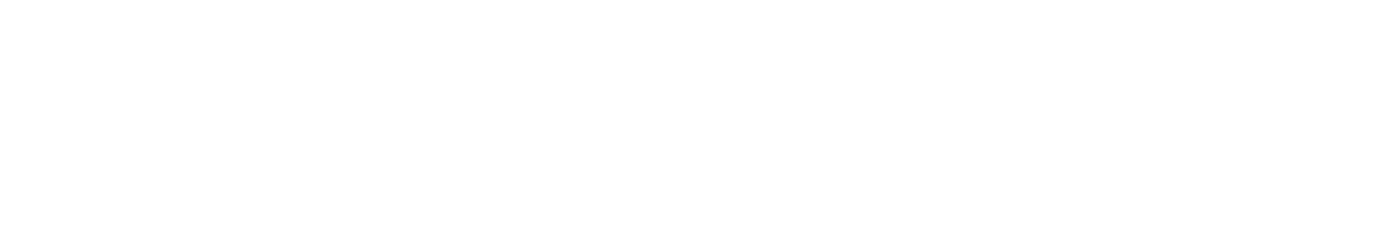Fürmetz Schadensportal